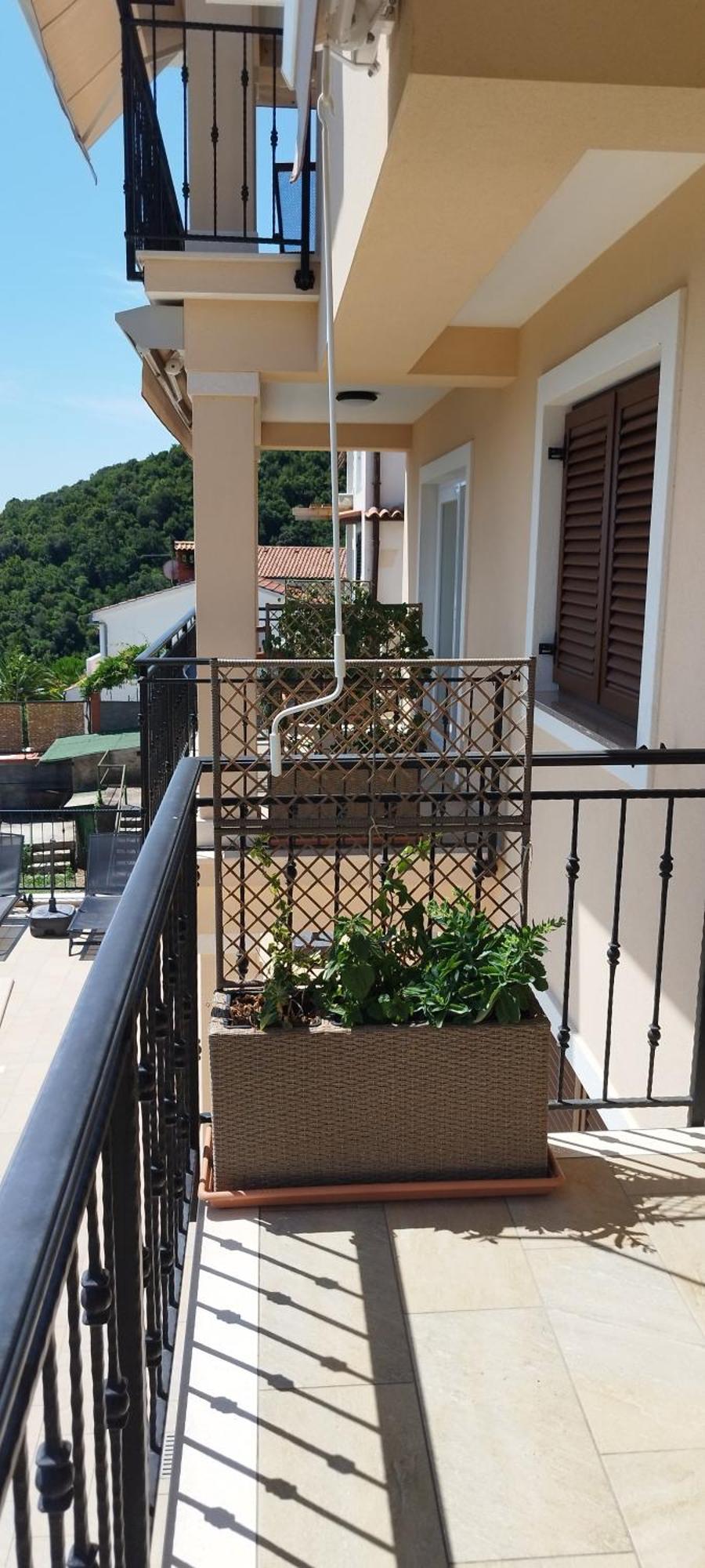 Apartments Villa Elma Moscenicka Draga Exterior foto